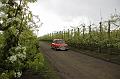 MG Bloesemrit op 24-4-2016 org. Jos&Marie-lou  (65)